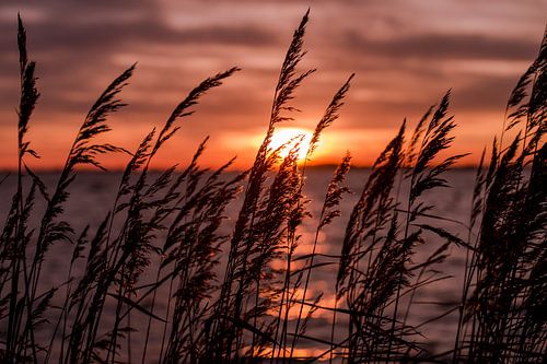 Winterse zonsondergang