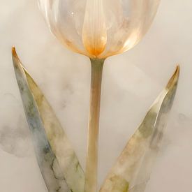 Tulipe lumineuse couleur crème sur Kristin M