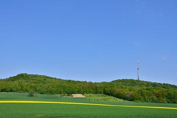 Löbauer Berg van Karin Jähne