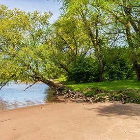 Der Strand, der Fluss und der Baum. von Jurjen Jan Snikkenburg