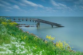 Rozenwerf Marken van Arie Griffioen