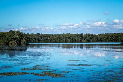Thulsfelder Stausee-2