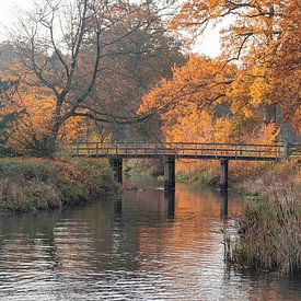 Bridge over River Dinkel in autumnal display by Wim Keessen