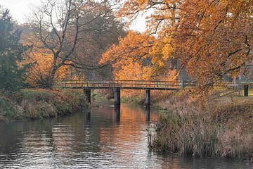Bridge over River Dinkel in autumnal display by Wim Keessen