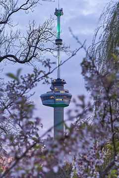 Euromast Rotterdam von EdsCaptures fotografie