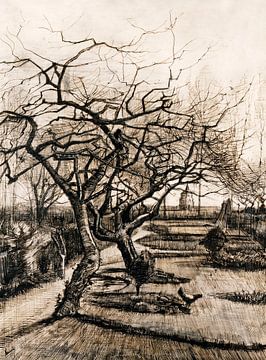 Vincent van Gogh. Jardin d'hiver à Neunen