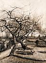 Vincent van Gogh. Winter garden in Neunen by 1000 Schilderijen thumbnail