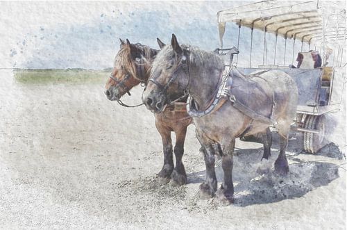 De Jan Plezier Texel