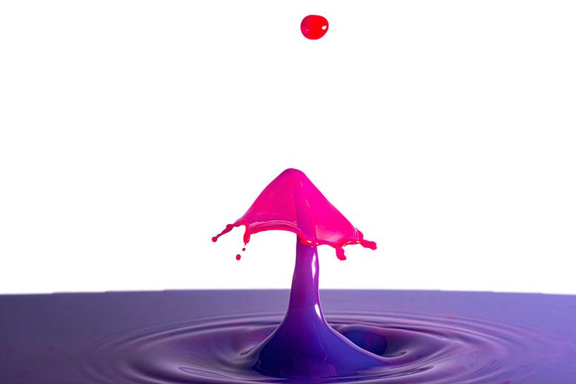 Mein Regenschirm von Robert Stienstra