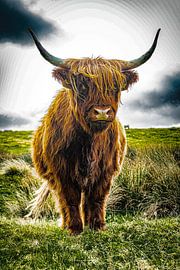 Scottish Highlander by Truckpowerr