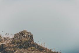 Jurassic Coast 3 von Stephanie Pfundt