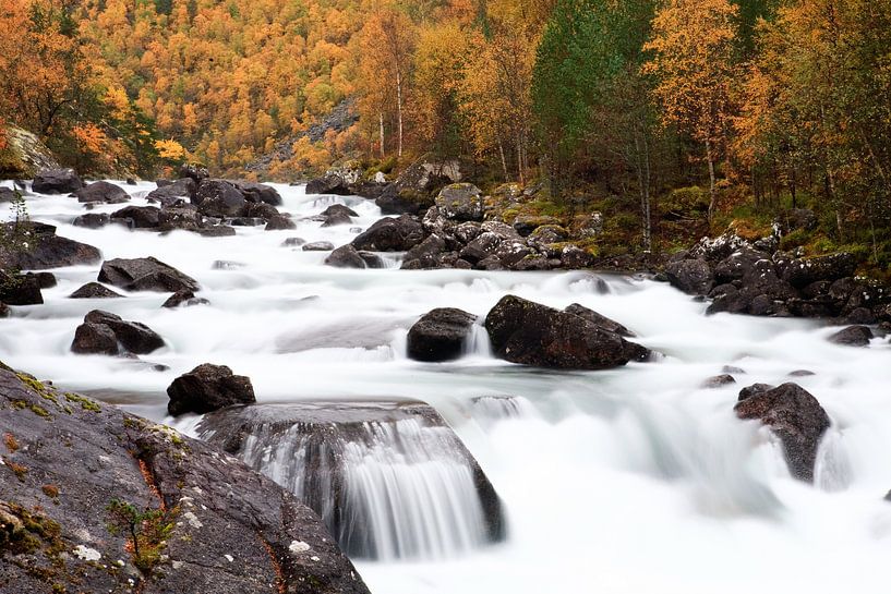 Autumn in Norway van Ellen van Drunen