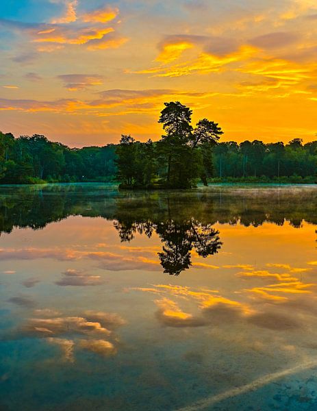 Oisterwijkse Bossen en Vennen by Freddie de Roeck