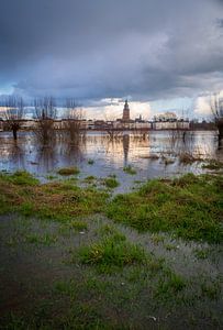 Hochwasser an der IJssel bei Zutphen von Arnold van Rooij