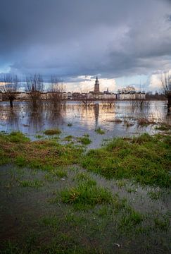 Marée haute sur l'IJssel près de Zutphen