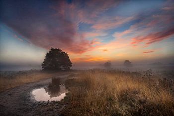 Ochtend op de Malpie