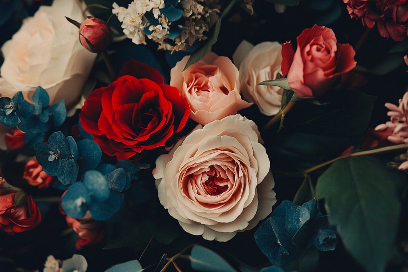 Colourful close-up of flowers by Imperial Art House