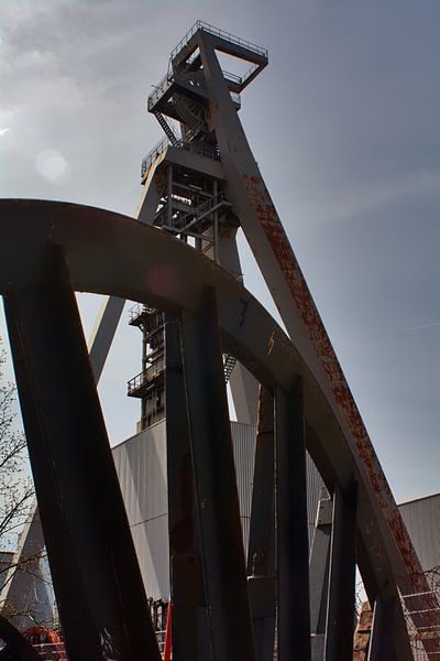 Charbonnière Hugo par Edgar Schermaul