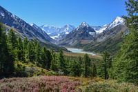 Montagnes dorées de l'Altaï