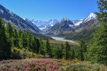 Montagnes dorées de l'Altaï sur Jarne Buttiens