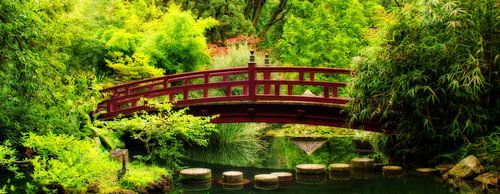 Holzbrücke