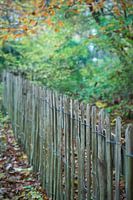 Autumn colours, Ockenburgh, The Hague