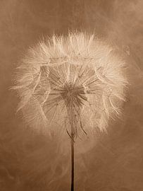 Warme, verträumte Atmosphäre – Botanischer Flauschball in zartem Rauchgrau von Marjolijn van den Berg
