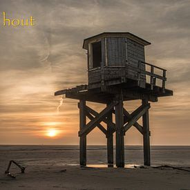 Oprijzend hout by Gerry van Roosmalen