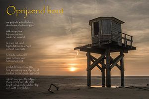 Oprijzend hout