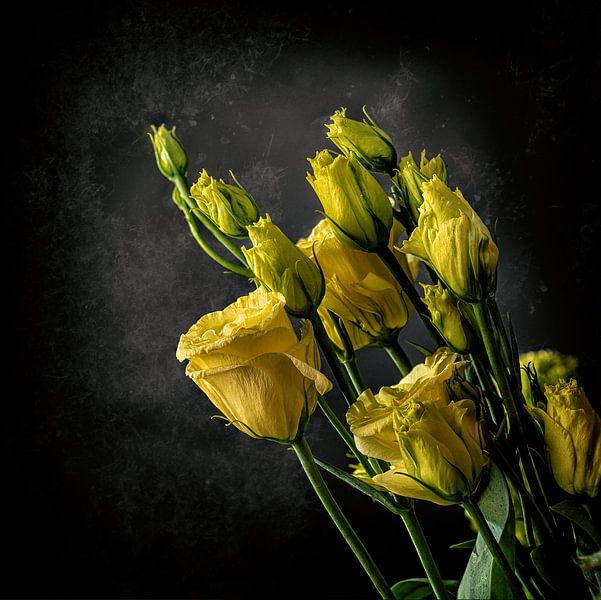 Yellow Bubble by Jos Verhoogen