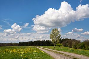 Wipperfürth, Bergisches Land, Deutschland