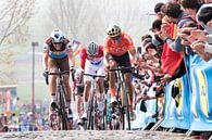 Paterberg Ronde van Vlaanderen 2019 van Leon van Bon thumbnail
