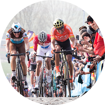 Paterberg Ronde van Vlaanderen 2019 van Leon van Bon