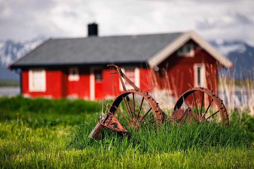 Farm implement in the grass by Martijn Smeets