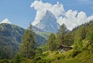 Das Matterhorn von Lisa Bouwman Miniaturansicht