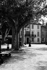 Place des Lices sur Tom Vandenhende