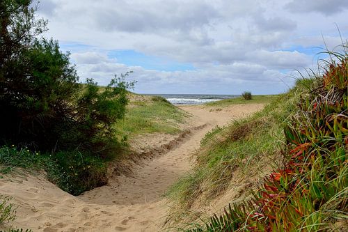Ochtendwandeling naar het strand