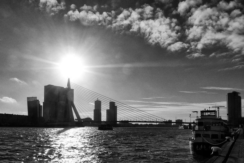 Port of Rotterdam van Bob Bleeker
