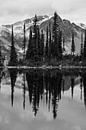Staande reflectie zwart/wit van berg en bomen in Canadees meer von Milou Mouchart Miniaturansicht