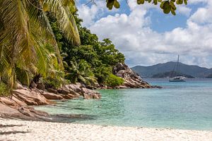 Anse Severe - La Digue (Seychellen)