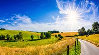 zomerlandschap