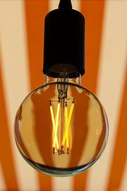 Qui a peur du noir, du jaune et de l'orange