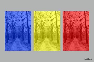 Triptych tree lane by whmpictures .com