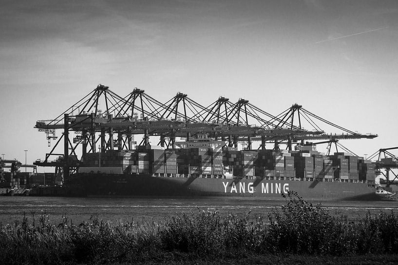 Maasvlakte 2 port cranes by Govart (Govert van der Heijden)