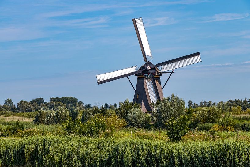 Kinderdijk van Maurice Meerten