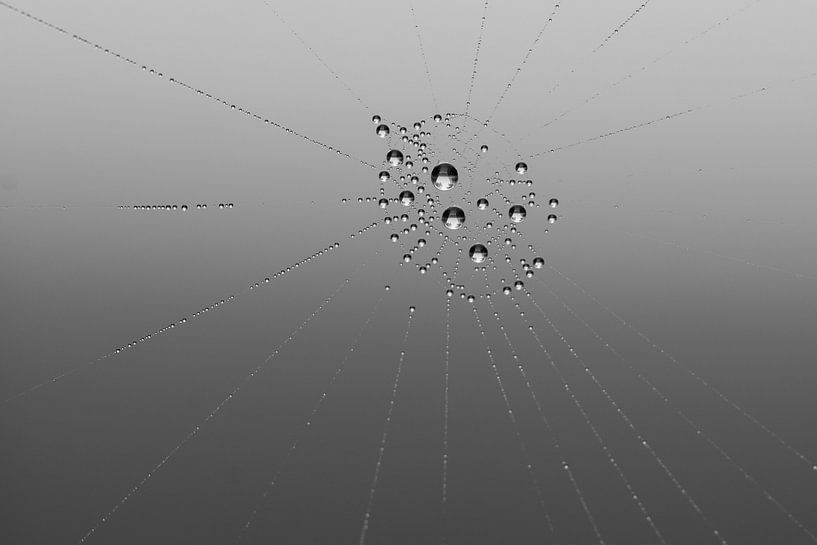 rain drizzle by Jan Roelof Brinksma
