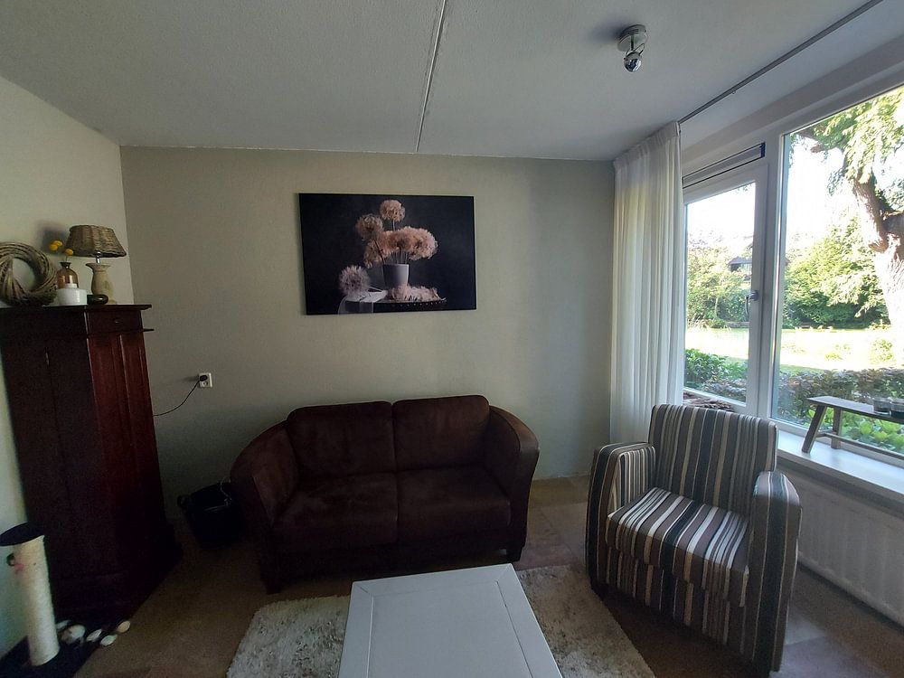 Gousse de pissenlit par Lydia Jacobs