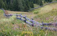 prairie fleurie avec clôture en bois par Klaartje Majoor Aperçu