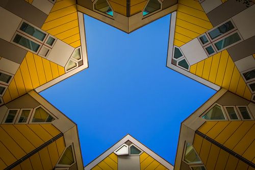 The star of Rotterdam