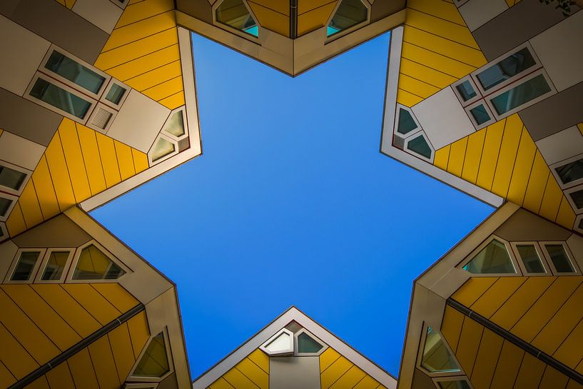 The star of Rotterdam van Marco van den Arend